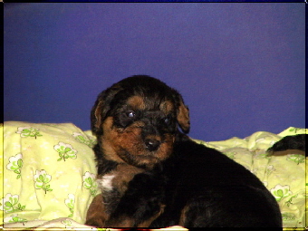 3 Wochen 02802